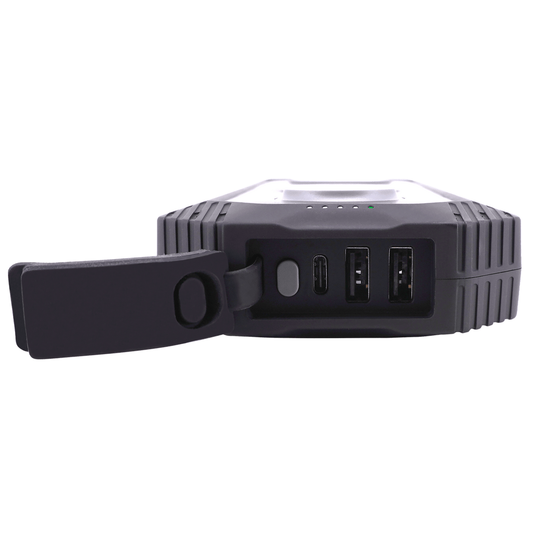 Lion Eclipse - Energystore