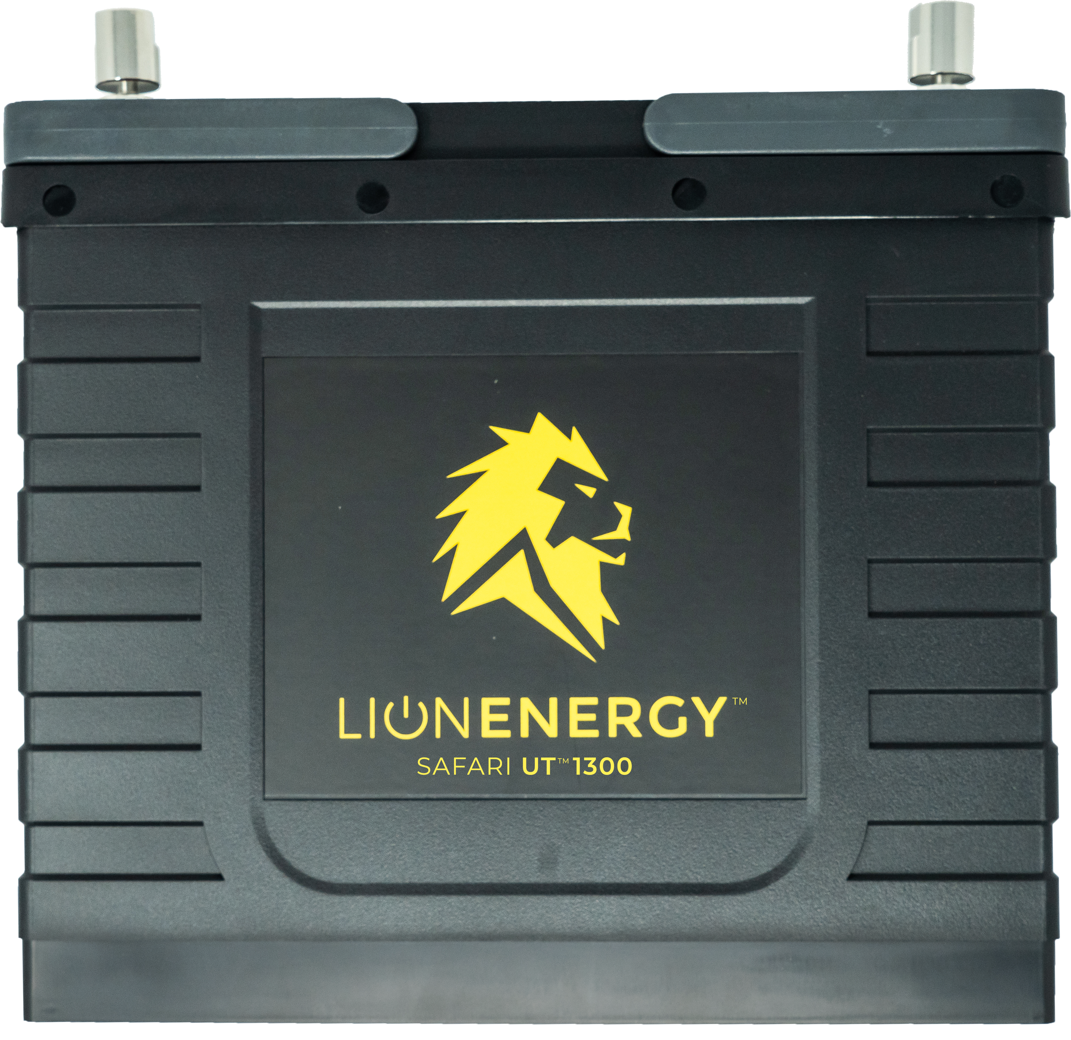 Lion Safari UT 1300 LiFePO4 Deep Cycle Battery