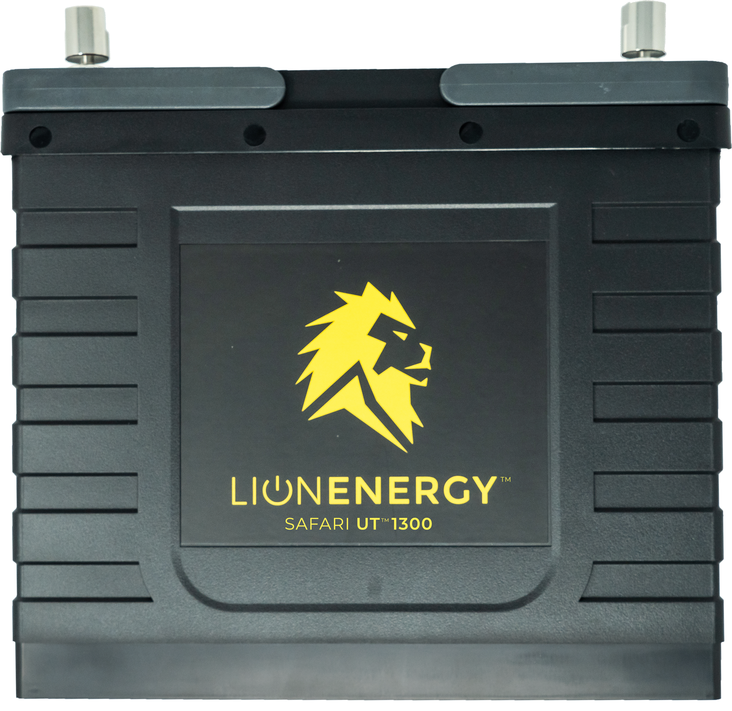 Lion Safari UT 1300 LiFePO4 Deep Cycle Battery
